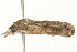  ( - gvc5977-1L)  @13 [ ] CreativeCommons - Attribution (2004) Unspecified Centre for Biodiversity Genomics