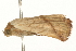  ( - gvc5982-1L)  @13 [ ] CreativeCommons - Attribution (2004) Unspecified Centre for Biodiversity Genomics