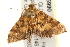  ( - gvc5990-1L)  @11 [ ] CreativeCommons - Attribution (2004) Unspecified Centre for Biodiversity Genomics
