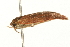  ( - gvc6723)  @12 [ ] CreativeCommons - Attribution (2004) Unspecified Centre for Biodiversity Genomics