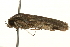  ( - gvc7443)  @13 [ ] CreativeCommons - Attribution (2004) Unspecified Centre for Biodiversity Genomics