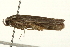  ( - gvc7444)  @13 [ ] CreativeCommons - Attribution (2004) Unspecified Centre for Biodiversity Genomics