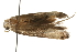  ( - gvc7972)  @12 [ ] CreativeCommons - Attribution (2004) Unspecified Centre for Biodiversity Genomics