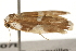  ( - gvc5507b)  @12 [ ] CreativeCommons - Attribution (2010) Unspecified Centre for Biodiversity Genomics