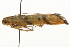  ( - gvc7099)  @12 [ ] CreativeCommons - Attribution (2010) Unspecified Centre for Biodiversity Genomics