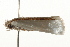  ( - gvc7307)  @14 [ ] CreativeCommons - Attribution (2010) Unspecified Centre for Biodiversity Genomics