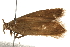  ( - gvc7431)  @13 [ ] CreativeCommons - Attribution (2010) Unspecified Centre for Biodiversity Genomics