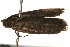  ( - gvc7989)  @12 [ ] CreativeCommons - Attribution (2010) Unspecified Centre for Biodiversity Genomics