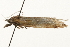  ( - gvc8003)  @12 [ ] CreativeCommons - Attribution (2010) Unspecified Centre for Biodiversity Genomics