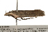  ( - gvc8126)  @12 [ ] CreativeCommons - Attribution (2010) Unspecified Centre for Biodiversity Genomics