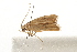  ( - gvc8220)  @13 [ ] CreativeCommons - Attribution (2010) Unspecified Centre for Biodiversity Genomics