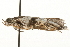  ( - gvc6321-1L)  @13 [ ] CreativeCommons - Attribution (2010) Unspecified Centre for Biodiversity Genomics