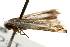  ( - gvc8235)  @12 [ ] CreativeCommons - Attribution (2010) Unspecified Centre for Biodiversity Genomics