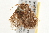  ( - gvc5194)  @12 [ ] CreativeCommons - Attribution (2010) Unspecified Centre for Biodiversity Genomics