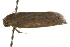  ( - gvc6266-1L)  @13 [ ] CreativeCommons - Attribution (2010) Unspecified Centre for Biodiversity Genomics