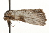  ( - gvc7451)  @12 [ ] CreativeCommons - Attribution (2010) Unspecified Centre for Biodiversity Genomics