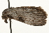  ( - gvc7472)  @12 [ ] CreativeCommons - Attribution (2010) Unspecified Centre for Biodiversity Genomics