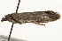  ( - gvc7474)  @12 [ ] CreativeCommons - Attribution (2010) Unspecified Centre for Biodiversity Genomics