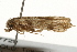  ( - gvc7729)  @13 [ ] CreativeCommons - Attribution (2010) Unspecified Centre for Biodiversity Genomics