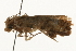  ( - gvc7948)  @13 [ ] CreativeCommons - Attribution (2010) Unspecified Centre for Biodiversity Genomics