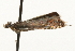  ( - gvc4822)  @12 [ ] CreativeCommons - Attribution (2010) Unspecified Centre for Biodiversity Genomics