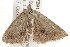  ( - gvc7391)  @11 [ ] CreativeCommons - Attribution (2010) Unspecified Centre for Biodiversity Genomics