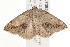  ( - gvc7392)  @11 [ ] CreativeCommons - Attribution (2010) Unspecified Centre for Biodiversity Genomics