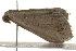  ( - gvc7394)  @11 [ ] CreativeCommons - Attribution (2010) Unspecified Centre for Biodiversity Genomics