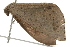  ( - gvc7395)  @14 [ ] CreativeCommons - Attribution (2010) Unspecified Centre for Biodiversity Genomics