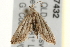  ( - gvc7432)  @13 [ ] CreativeCommons - Attribution (2010) Unspecified Centre for Biodiversity Genomics