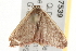  ( - gvc7539)  @12 [ ] CreativeCommons - Attribution (2010) Unspecified Centre for Biodiversity Genomics