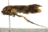  ( - gvc7745)  @13 [ ] CreativeCommons - Attribution (2010) Unspecified Centre for Biodiversity Genomics