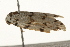  ( - gvc7858)  @12 [ ] CreativeCommons - Attribution (2010) Unspecified Centre for Biodiversity Genomics