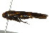  ( - gvc6457)  @13 [ ] CreativeCommons - Attribution (2010) Unspecified Centre for Biodiversity Genomics