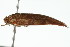  ( - gvc6722)  @12 [ ] CreativeCommons - Attribution (2010) Unspecified Centre for Biodiversity Genomics