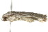  ( - gvc7264)  @13 [ ] CreativeCommons - Attribution (2010) Unspecified Centre for Biodiversity Genomics
