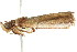  ( - gvc7574)  @13 [ ] CreativeCommons - Attribution (2010) Unspecified Centre for Biodiversity Genomics