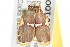  ( - 2006-LOQT-249)  @12 [ ] CreativeCommons - Attribution (2010) CBG Photography Group Centre for Biodiversity Genomics