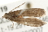  ( - gvc7619)  @12 [ ] CreativeCommons - Attribution (2010) Unspecified Centre for Biodiversity Genomics