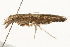  (Gracil - gvc7693)  @13 [ ] CreativeCommons - Attribution (2010) Unspecified Centre for Biodiversity Genomics