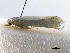  ( - gvc18159-1L)  @13 [ ] CreativeCommons - Attribution (2012) CBG Photography Group Centre for Biodiversity Genomics