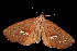  ( - 05-TN-00064)  @13 [ ] CreativeCommons - Attribution (2010) Unspecified Centre for Biodiversity Genomics
