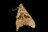  ( - 05-TN-00116)  @13 [ ] CreativeCommons - Attribution (2010) Unspecified Centre for Biodiversity Genomics