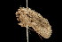  ( - 05-TN-00153)  @14 [ ] CreativeCommons - Attribution (2010) Unspecified Centre for Biodiversity Genomics