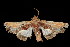  ( - 05-TN-00202)  @13 [ ] CreativeCommons - Attribution (2010) Unspecified Centre for Biodiversity Genomics