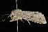  ( - 05-TN-00271)  @12 [ ] CreativeCommons - Attribution (2010) Unspecified Centre for Biodiversity Genomics