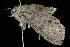  ( - 05-TN-00273)  @12 [ ] CreativeCommons - Attribution (2010) Unspecified Centre for Biodiversity Genomics