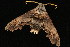  ( - 05-TN-00287)  @13 [ ] CreativeCommons - Attribution (2010) Unspecified Centre for Biodiversity Genomics