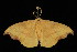  ( - 05-TN-00331)  @13 [ ] CreativeCommons - Attribution (2010) Unspecified Centre for Biodiversity Genomics