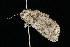  ( - 05-TN-00480)  @13 [ ] CreativeCommons - Attribution (2010) Unspecified Centre for Biodiversity Genomics